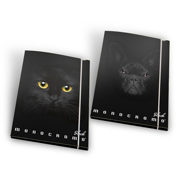 Pigna Monocromo Black A4 gumis mappa Pigna Monocromo Black A4 gumis mappa