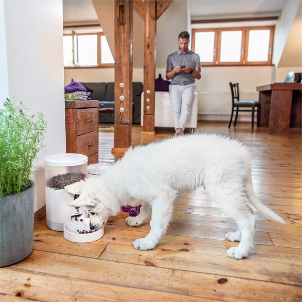 Tesla automata etető háziállatoknak (TSL-PC-BL4)