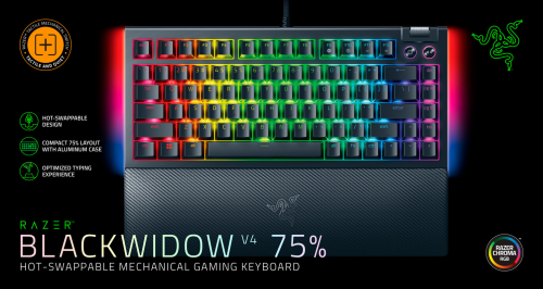 Razer BlackWidow V4 75% US Layout
