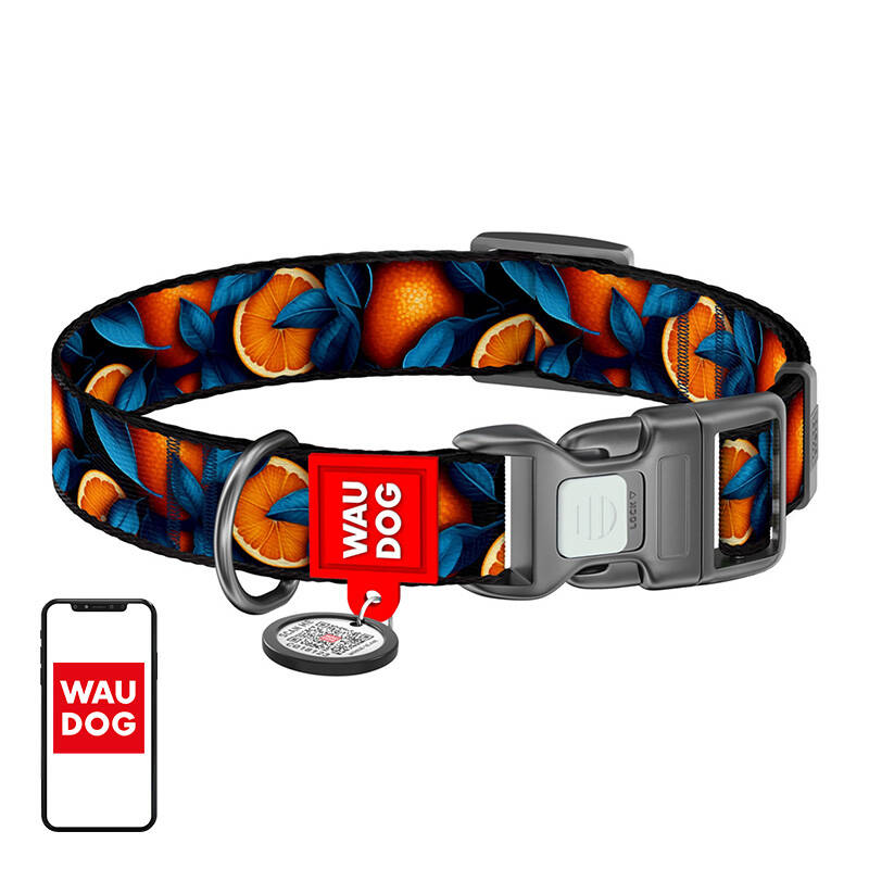 Waudog "Oranges" nylon dog collar with QR code, size XL Waudog "Oranges" nylon dog collar with QR code, size XL