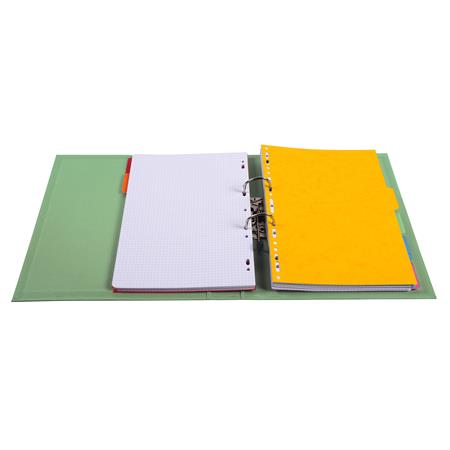EXACOMPTA 50 mm  A4 PVC Iratrendező lime