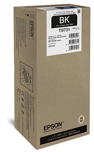 Epson C13T973100 XL tintapatron fekete
