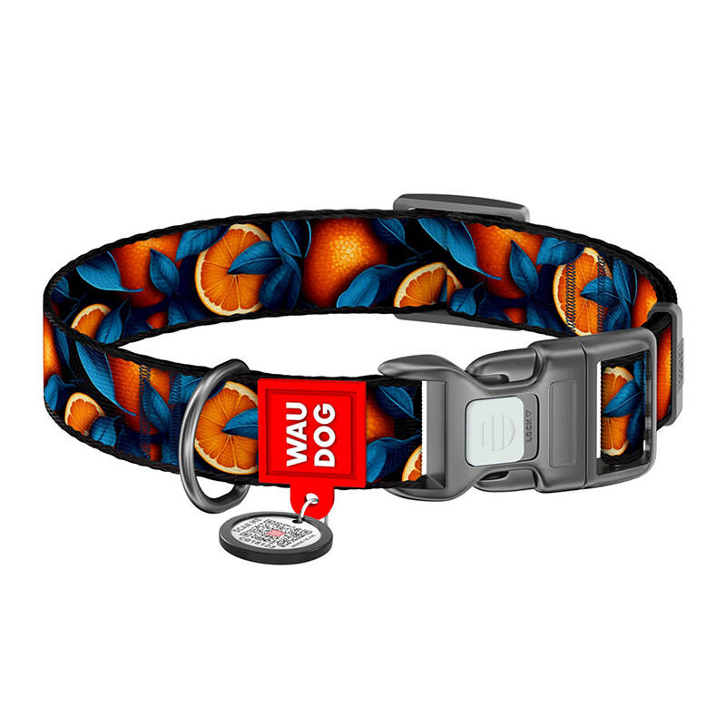 Waudog "Oranges" nylon dog collar with QR code, size XL Waudog "Oranges" nylon dog collar with QR code, size XL