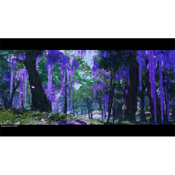 Ghost of Tsushima Director's Cut (PS4)