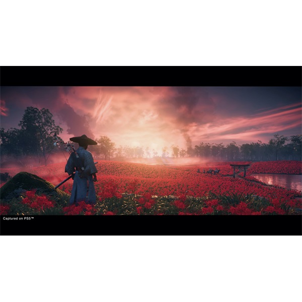 Ghost of Tsushima Director's Cut (PS4)