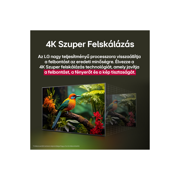 LG 43" 43UA751C0LA 4K UHD AI Smart TV