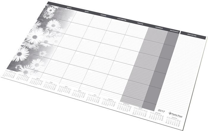 Panta Plast könyökalátét havi tervezővel 470x330 mm (INP318000799)