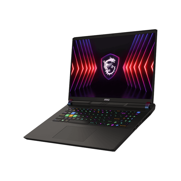 MSI Vector 17 HX A14VHG-897 17" QHD+ 240Hz  i9-14900HX  32GB 1TB M.2 RTX 4080 12GB WIN11H Gaming NB Cosmos Gray