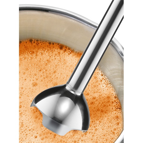 Bosch MSM24100 BOTMIXER Bosch MSM24100 BOTMIXER