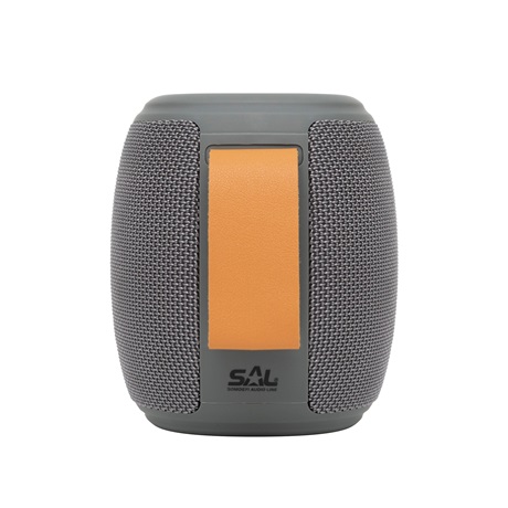 Sal BT 1000 BLUETOOTH Hangfal