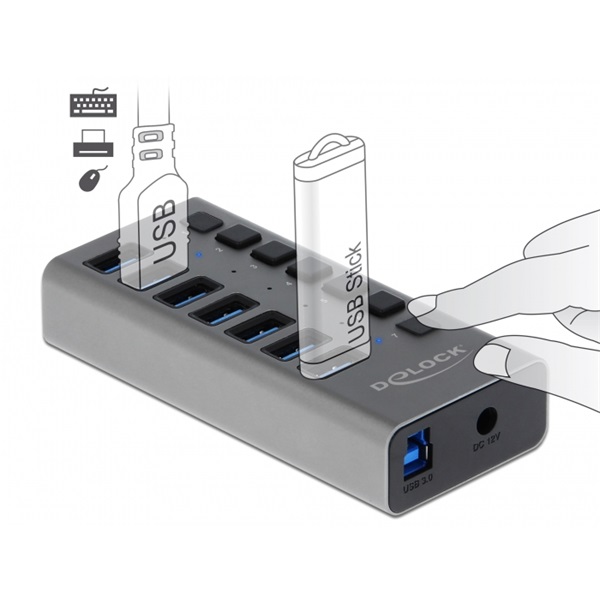 DeLock External USB 5 Gbps HUB with 7 Ports + Switch Szürke