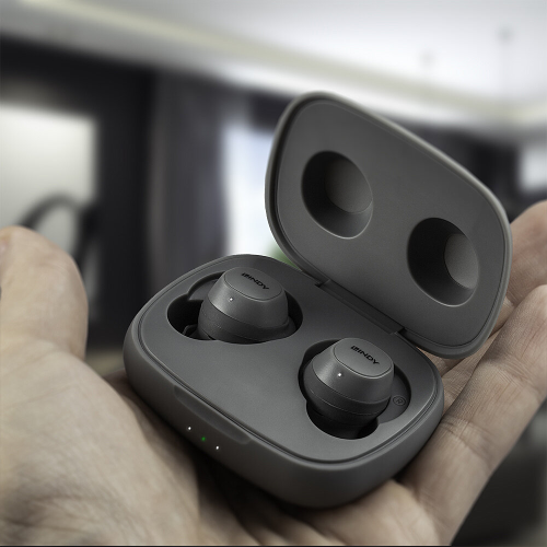 LINDY LE400W Wireless In-Ear Headphones LINDY LE400W Wireless In-Ear Headphones