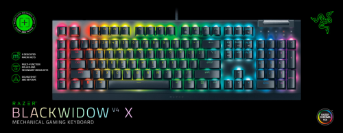 Razer BlackWidow V4 X (Green Switch)  US Layout