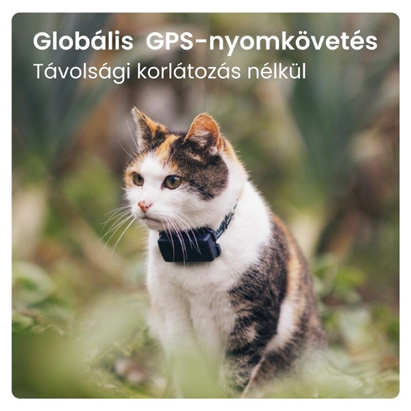 Tractive GPS CAT Mini kék macska GPS nyomkövető és tevékenységfigyelő