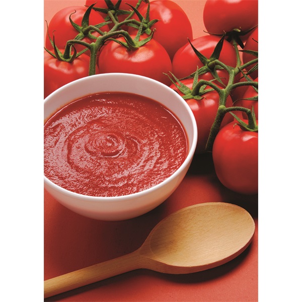 Russell Hobbs 22240-56 Explore botmixer