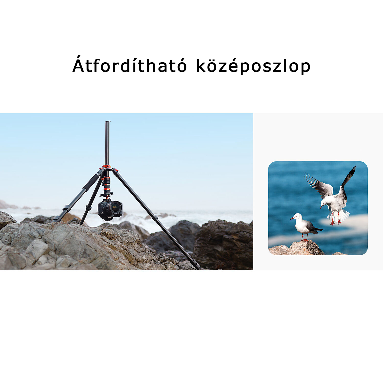 K&F Concept T254A7+BH-28L állvány + monopod, elforgatható középoszloppal, fekete-narancs