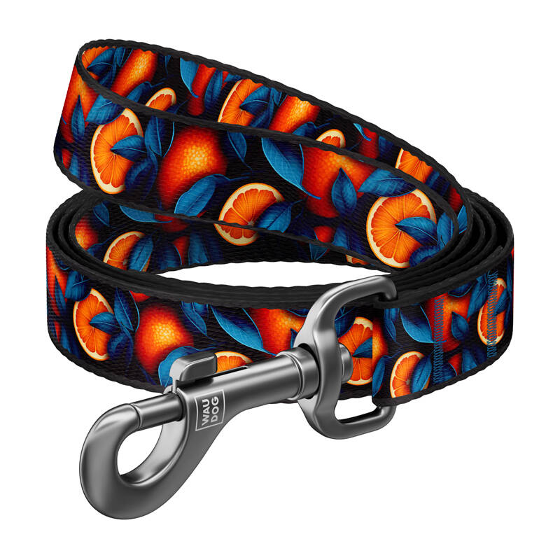Nylon dog leash, pattern ''Oranges'' length 122 cm Waudog Nylon dog leash, pattern ''Oranges'' length 122 cm Waudog
