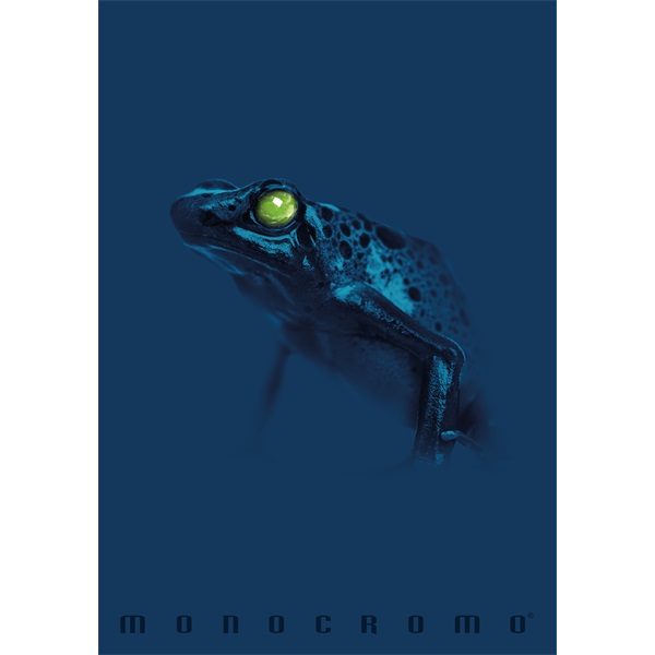 Pigna Monocromo Blue A4 tűzött 38 lapos kockás füzet Pigna Monocromo Blue A4 tűzött 38 lapos kockás füzet