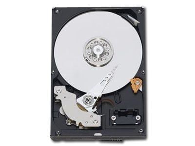 1TB WD 3.5" Caviar Blue SATAIII 64MB cache winchester (WD10EZEX) 1TB WD 3.5" Caviar Blue SATAIII 64MB cache winchester (WD10EZEX)