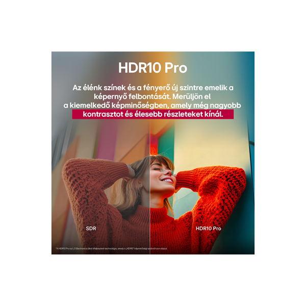 LG 43" 43UA751C0LA 4K UHD AI Smart TV