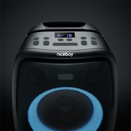 Niceboy NIC-PARTY-BOY-2-100W PARTY HANGFAL