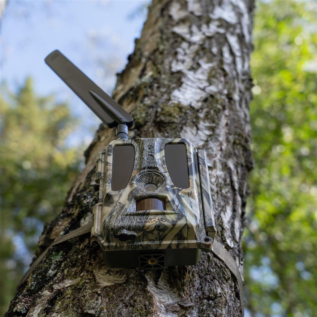 Dörr SnapShot Cloud PRO 4G Megfigyelőkamera Vadkamera WA Dörr SnapShot Cloud PRO 4G Megfigyelőkamera Vadkamera WA