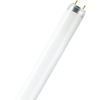 OSRAM Fénycső EEK: A (A++ - E) G13 18 W Cső forma (O x H) 26 mm x 590 mm 1 db