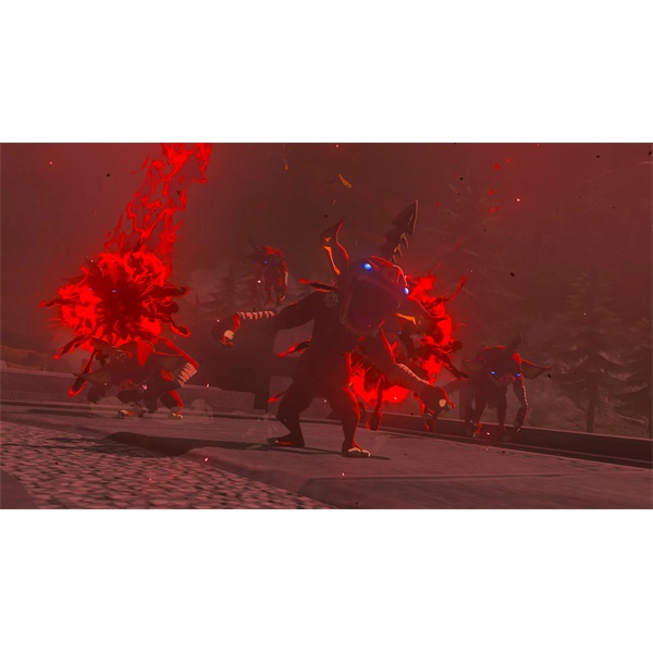 The Legend of Zelda: Tears of the Kingdom Collector`s Edition Nintendo Switch játékszoftver