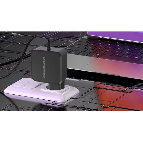Conceptronic   OZUL05BE USB-C  100W 3,3-21V 1,8m  Univerzális Töltő adapter Fekete 