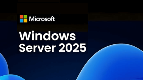 Windows Server CAL 2025 Hungarian 1pk DSP OEI 5 Clt Device CAL